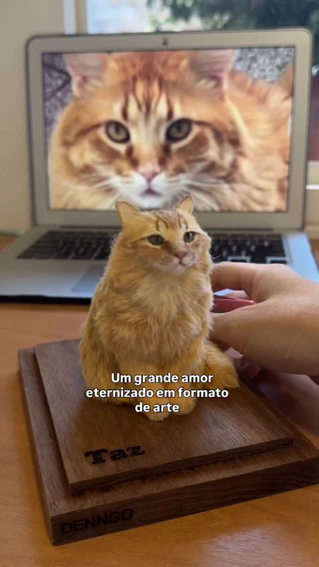Transformei o pequeno Taz em arte